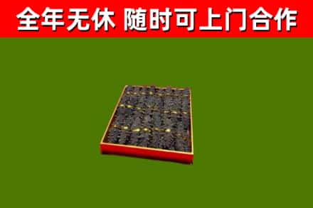 泉山区回收海参
